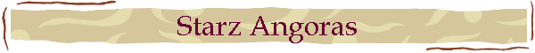 Starz Angoras